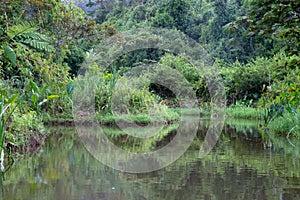 A boat ride on the water in the rainforest on the island of Madagascar