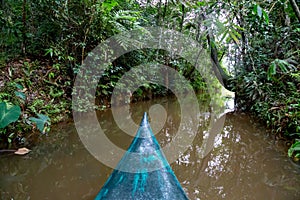 A boat ride on the water in the rainforest on the island of Madagascar