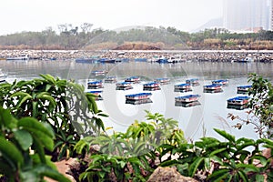 Boat on the river