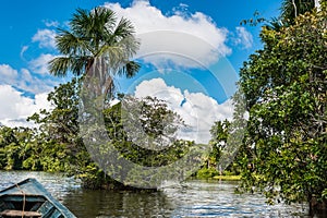 boat in the river in the peruvian Amazon jungle at Madre de Dios Peru photo