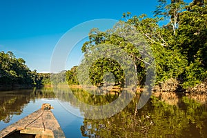 boat in the river in the peruvian Amazon jungle at Madre de Dios Peru