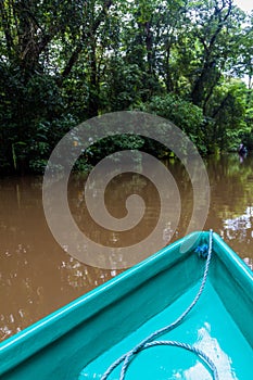 Boat on a river in Tortuguero National Park, Costa Ri