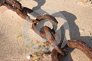 Boat Rusted Chain