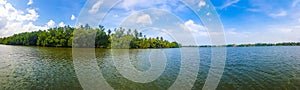 Boat safari through mangrove jungle Bentota Ganga River Bentota Beach Sri Lanka