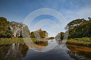 Boat safari on the Rio Negro in Brazil photo