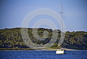 Boat sailing on the sea with forested mountain and a blue sky in the background