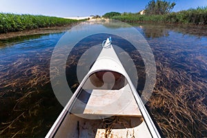 Boat sails along a quiet backwater of the river between the reeds