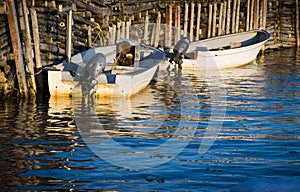 Boat Scenic