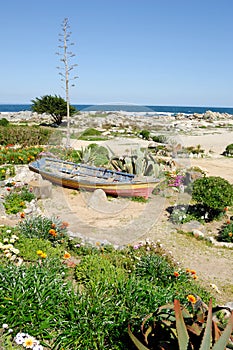 Boat on seaside