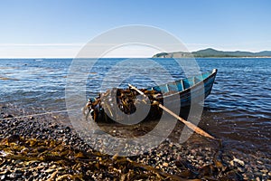 Boat with seaweed kelp stands near the shore.