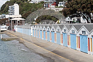 Boat sheds at Clyde Quay Marina boat harbour, Wellington, New Zealand