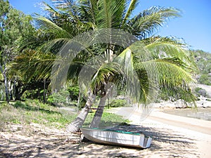 Boat on shore under palm tree on Tropical beach