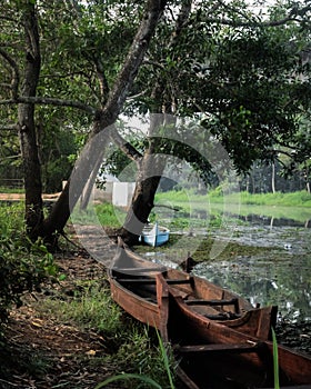 Boat shore in the wild nature