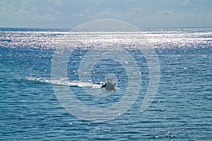 Boat speeds along in the Atlantic Ocean in the Florida Keys with mid day sun glimmering on water