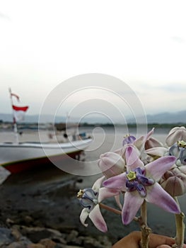 the boat still waiting to accross the sea