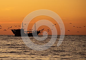 Boat after Sunset with some Birds / Seagulls photo