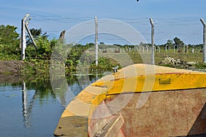 A boat tour in Buxa Tiger Reserve in West Bengal, India. A ride through the jungle. Front of the boat visible to the right