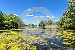 Boat tour on Danube delta photo