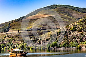 Boat tours on the Douro river, Douro valley, Porto, Portugal