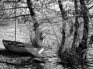 Boat between the trees