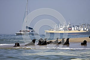 Boat Trip around Walvis Bay