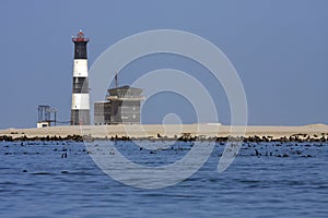Boat Trip around Walvis Bay