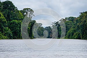 Boat trip into the canals of Tortuguero