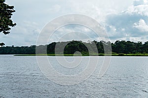 Boat trip into the canals of Tortuguero