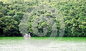 Boat trip in a lake in Nuwara Eliya.