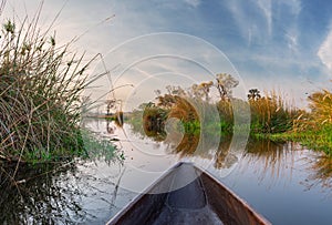 Boat trip in a traditional Makoro at the Okavango Delta, Botswana