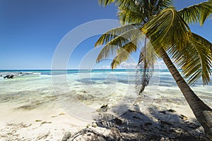 Boat and tropical beach in caribbean sea, Saona island, Dominican Republic