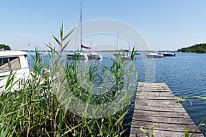 Boat wooden pontoon in natural lake of Lacanau in France