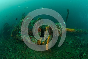 Boat wreck, indo-pacific sergeant damselfish in Ambon, Maluku, Indonesia underwater photo