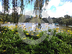 Boating lake