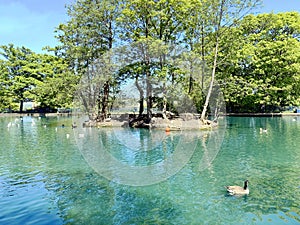 Boating lake, on a hot summers day in, Lister Park, Bradford, UK