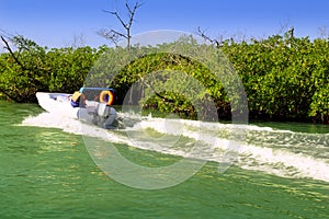 Boating in mangroves in Mayan Riviera Mexico