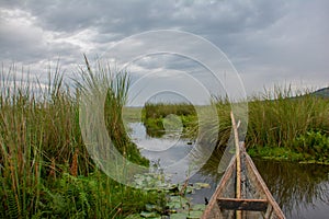 Boating through the narrows Mabamba swamps