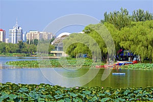 Chaoyang park, Beijing photo