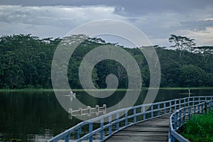 Boatman on a Lake