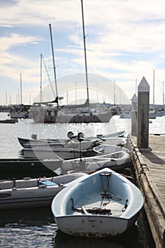 Boats Along Marina