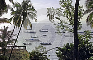 Boats Anchored in Dona Paula Bay