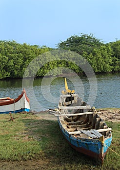 Boats on the backwater small harbor with mangrove trees.