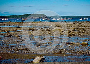 Boats in Bar Harbor Maine at Low Tide