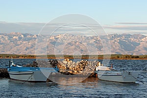 Boats basking in the late afternoon sun