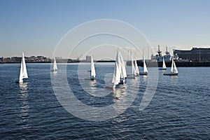 Boats in the bay