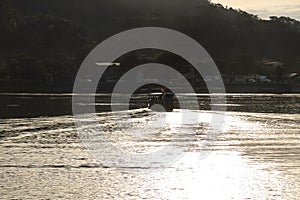 Boats on Beni river, Rurrenabaque, Bolivia photo