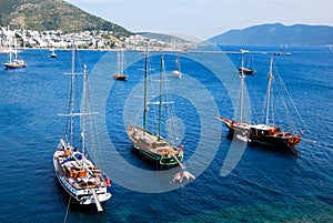 The boats of Bodrum photo