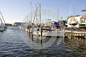 Boats in Chesapeake Bay