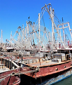 Fishing Boats Tied at Dock