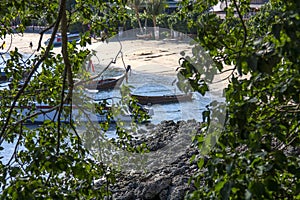 Boats and coast shot through a frame of leaves and branches